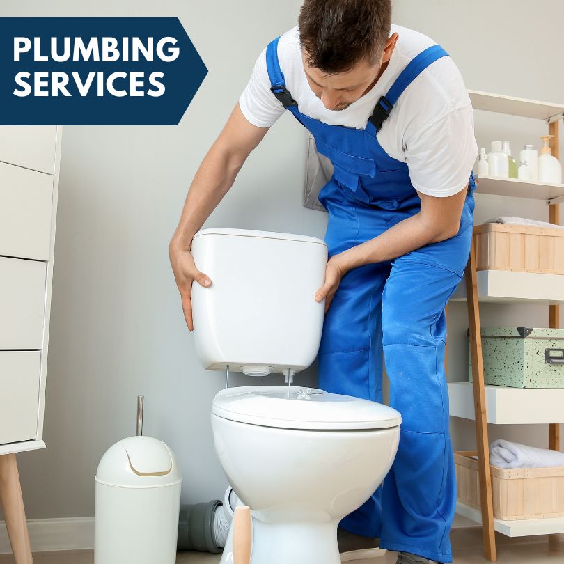 Plumbing Company in Zephyrhills, FL